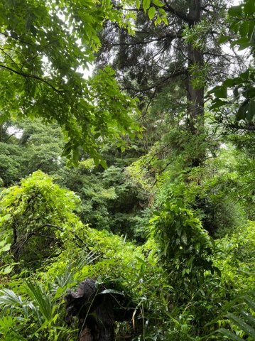 愛知県蒲郡市神ノ郷　土地の周辺
