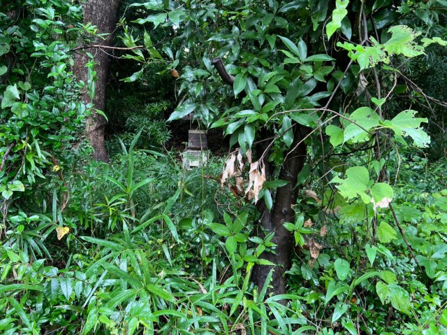 愛知県蒲郡市神ノ郷　土地の周辺
