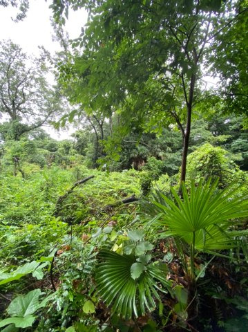 愛知県蒲郡市神ノ郷　土地の周辺