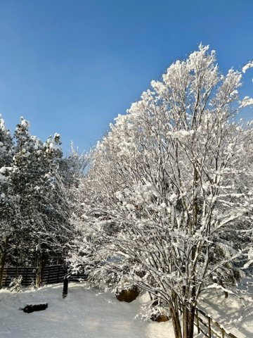大津市北比良中古住宅の庭