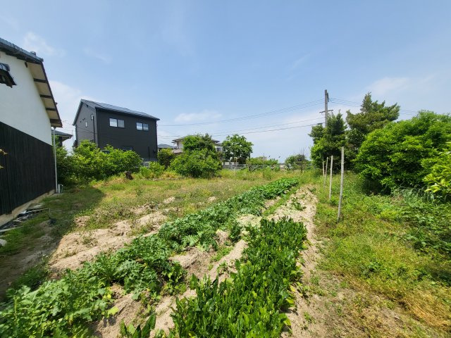 【庭】 | 柏原中古戸建