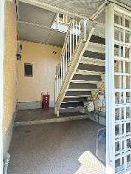 【その他】 | S60338-ﾊｲﾂﾆｼﾉ