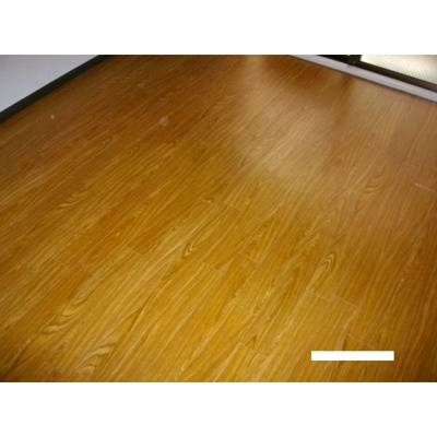 【その他】 | メゾン・ハタノ