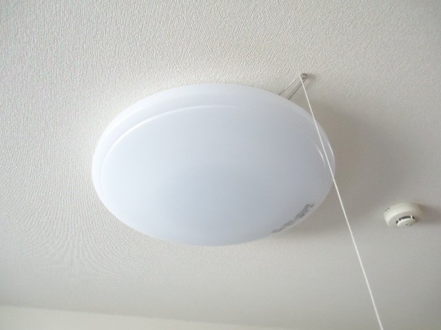 フォレストヴィラ本江のその他|照明器具