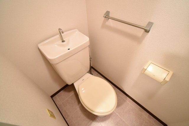 メゾンアイリスのトイレ