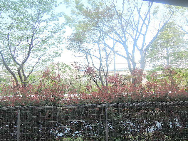 メゾン　コンフォールの展望