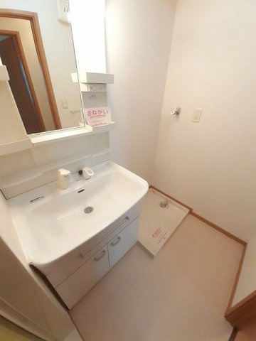 メゾン・ベル・カルムⅠの洗面所