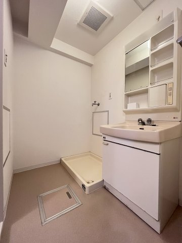 グレース南住吉の洗面所