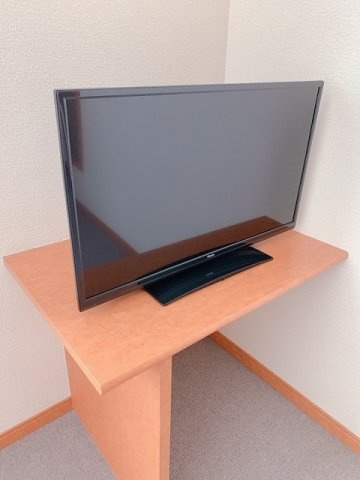 レオパレスビィラ　たもんのその他