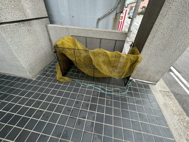 谷口ビル|名古屋市の賃貸ならＭｙ賃貸のその他共用部分|谷口ビル