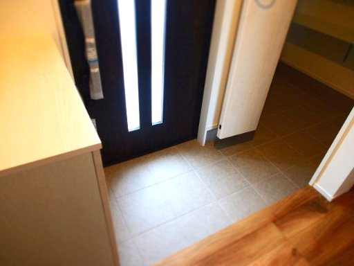 【玄関】 | ルルーディア十日市東町2号棟 | デザイン性が高い室内♪利便性の良い立地。