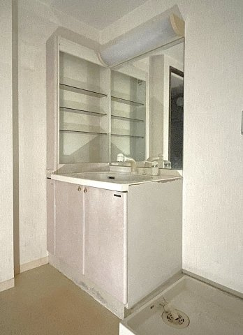 ダイアパレス西宝町弐番館の独立洗面台