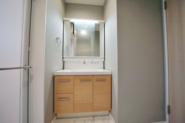 【横浜市保土ケ谷区仏向町1135-3全5棟新築戸建てA号棟】★仲介手数料無料★（仏向小学校・橘中学校）の独立洗面台