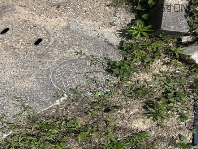 【その他】 | 相生市野瀬／売土地