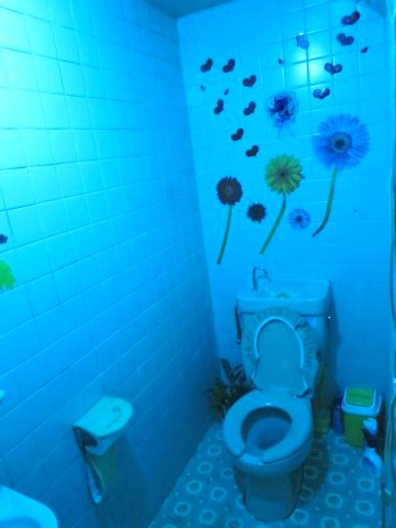 第二池田ビル|ﾄｲﾚ