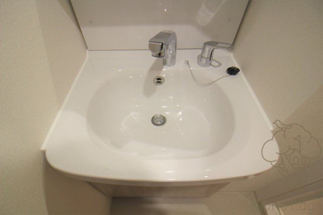プレサンスOSAKA西中島リエゾンの洗面所