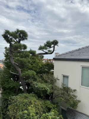 【展望】 | パークハイム住吉山手