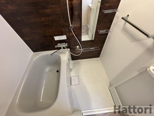 Alivis北梅田の浴室