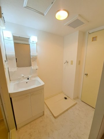 メゾンアイリスの洗面所