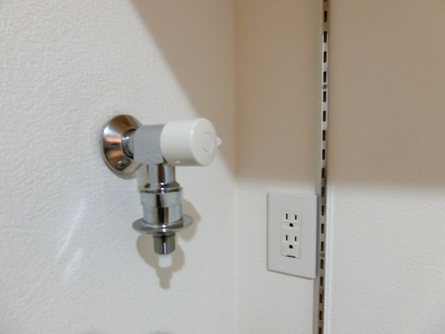 エヴァグリーンのその他