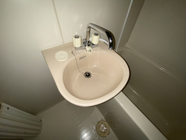 ソレアードの洗面所