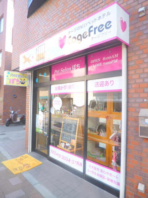 Marigoldのその他|ペットサロンポチ
