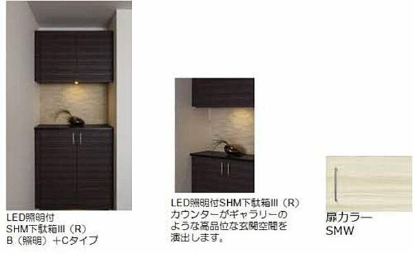 熊本市東区保田窪４丁目の賃貸マンションの玄関
