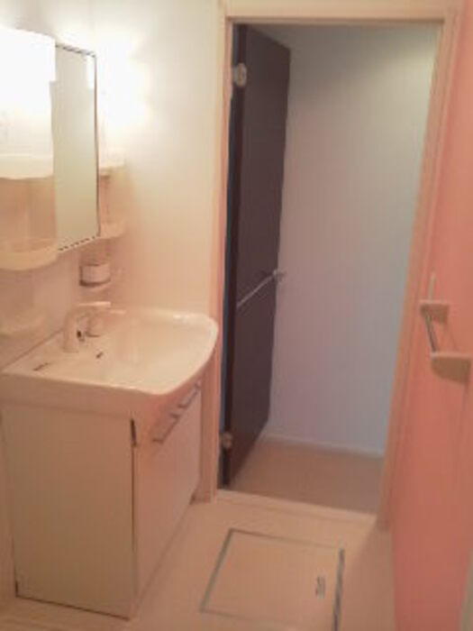 ディゴス八幡の洗面所