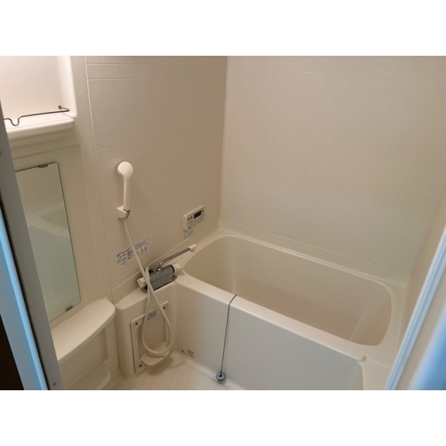 Ｐａｒｋ　ｄ’Ａｚｕｒの浴室