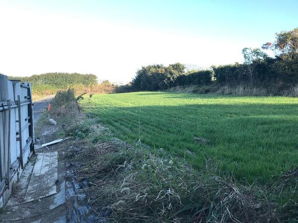 常滑市西阿野字春瀬の売地の外観