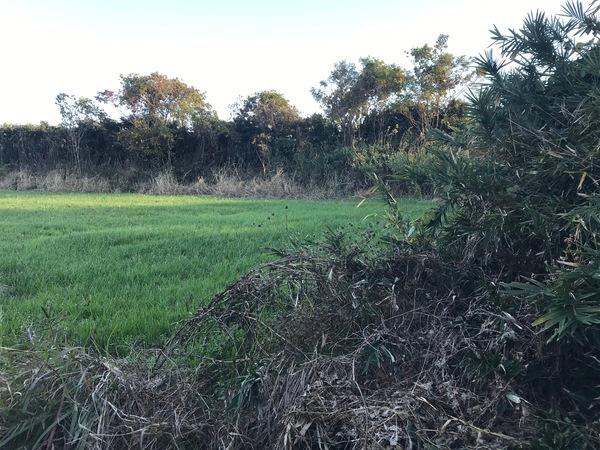 常滑市西阿野字春瀬の売地