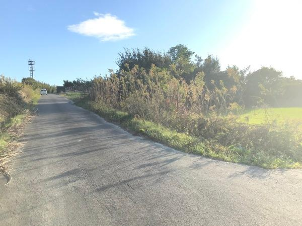 常滑市西阿野字春瀬の売地の前面道路含む現地写真