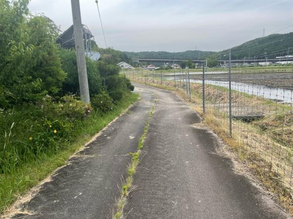 岡崎市大幡町・中古戸建の前面道路含む現地写真|前面道路です。