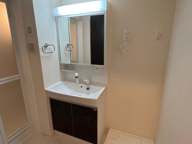 メゾン　ラ　テールの独立洗面台|洗髪洗面化粧台（イメージ）