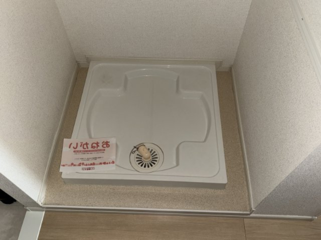 コレクト　ライルのその他