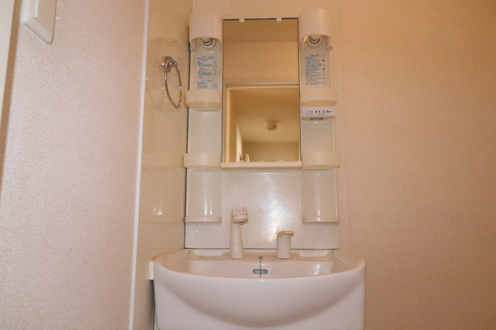 パークハイム A棟の洗面所