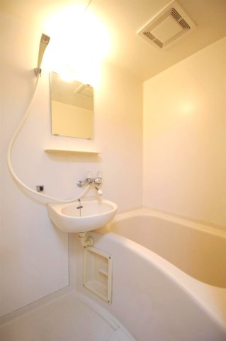 エクシード大江Ⅱの洗面所