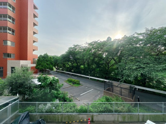 【展望】 | 部屋からダイレクトに緑です。山です。福岡市南区で、これは贅沢だともいえます。