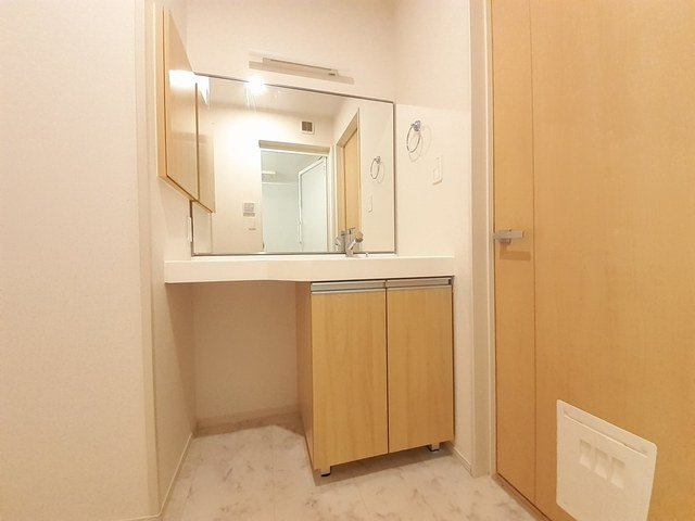 ソフィアＤの洗面所|脱衣スペースもあります