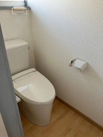 ロイヤルパレスコスモスのトイレ|トイレです