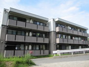 ダイヤモンドヘッドの画像