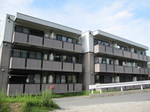 ダイヤモンドヘッドの画像