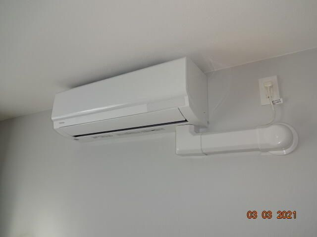 ヴェンティス　ウエノサクラギのその他