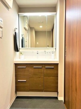 【独立洗面台】 | 【HP限定公開】ランドコートつつじヶ丘　8階