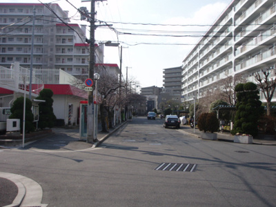 【周辺】 | ルネ千里丘2号棟 | 前面道路