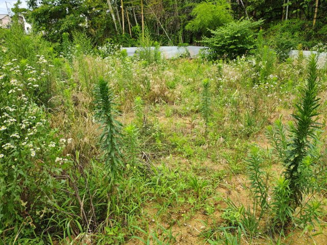 【外観】 | 姫路市御立東4丁目／売土地