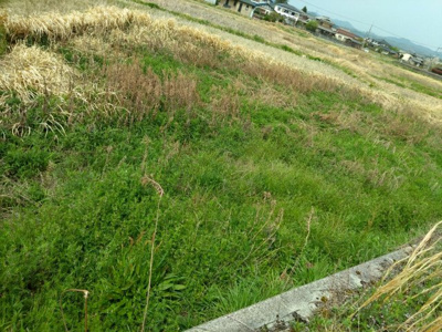 【外観】 | 丹波篠山市西岡屋　土地1