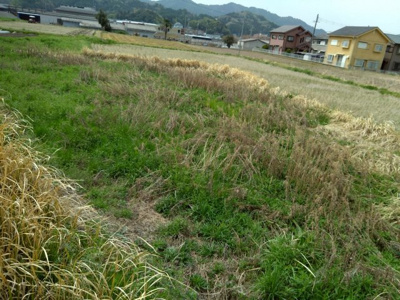 【外観】 | 丹波篠山市西岡屋　土地1