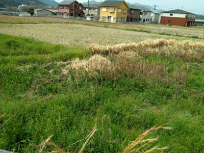 【外観】 | 丹波篠山市西岡屋　土地1