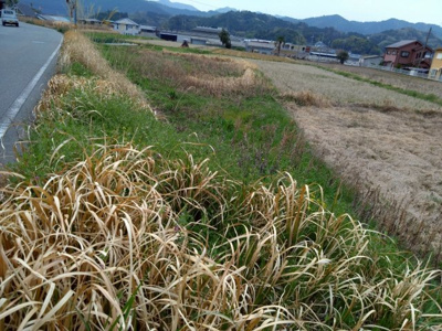 【外観】 | 丹波篠山市西岡屋　土地1